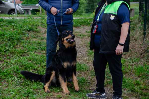 Pomladni tečaji uspešno zaključeni